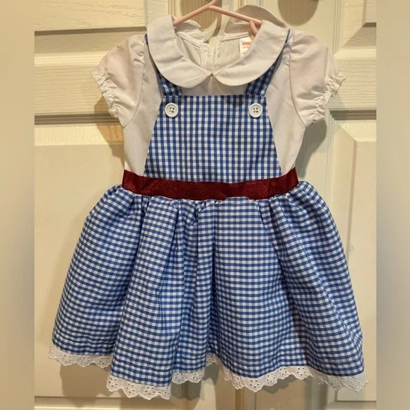 Gymboree | Dresses | Toddler Dorothy Costume Blue Gingham Dress Size 824  Months | Poshmark